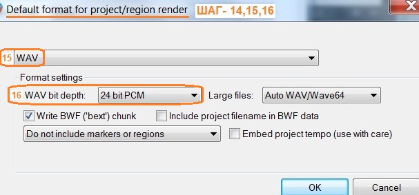 Окно Default format for project/region render в reaper рипер